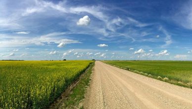 Featured image Top 6 Benefits of Living in Saskatchewan 388x220 - Top 6 Benefits of Living in Saskatchewan